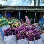 Tetebatu Lombok Traditional Market