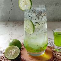 Ice Mojito Melon